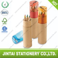 6pc color pencil into Paper tube with pencil sharpener